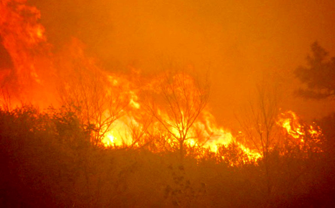 CNN video news mtnnews1